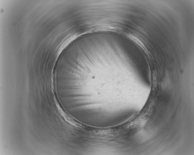 X0000059061047200510171934