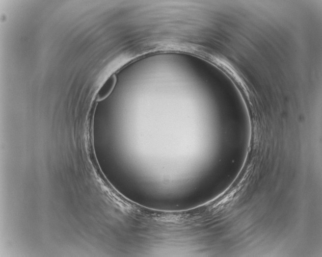 X0000059061048200510171934