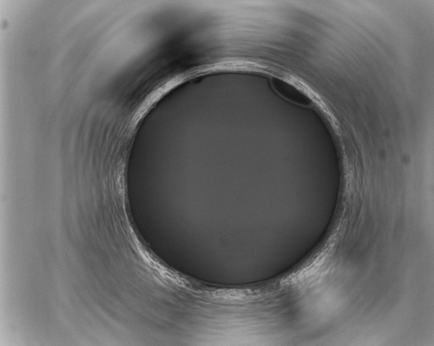 X0000059061049200510171934