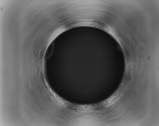 X0000059061050200510171934