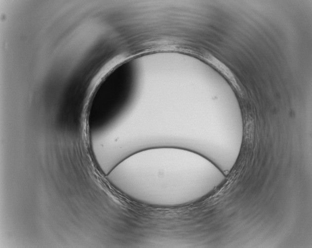 X0000059061051200510171934