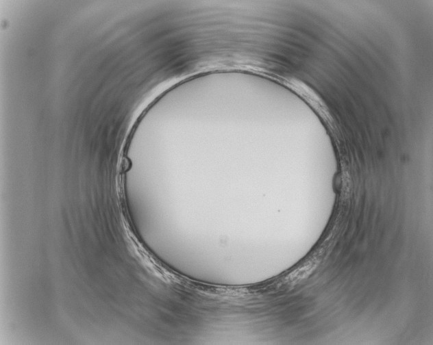 X0000059061052200510171934