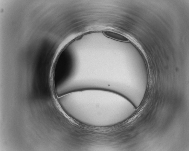 X0000059061053200510171934