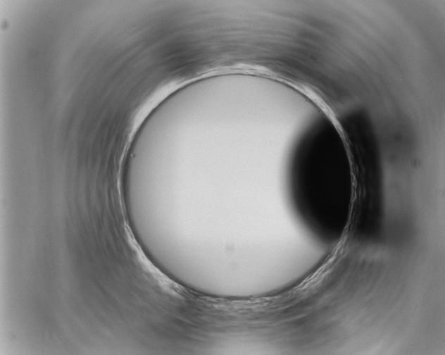 X0000059061054200510171934