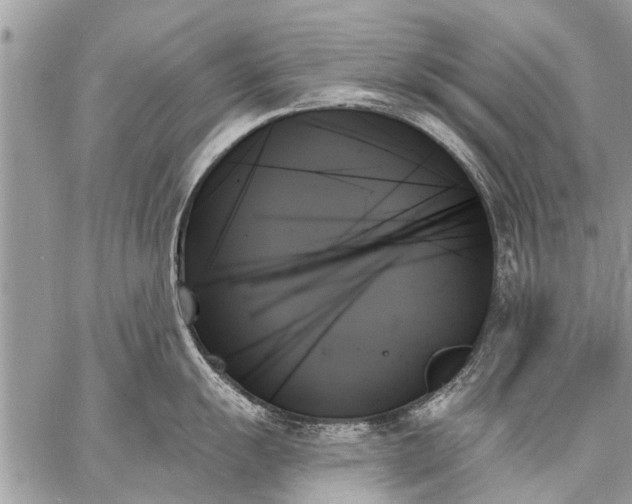 X0000059061055200510171934