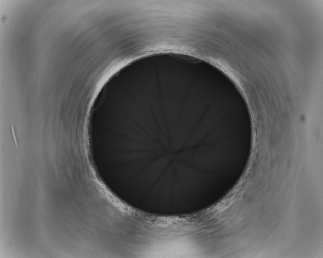 X0000059061056200510171935