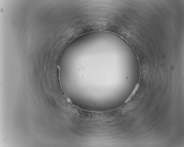 X0000059061057200510171934