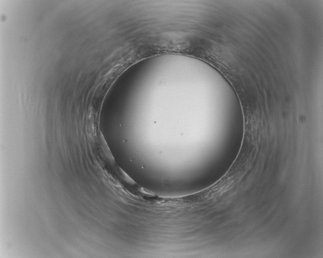 X0000059061058200510171934