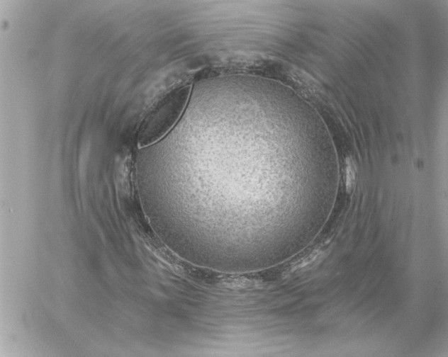 X0000059061059200510171934