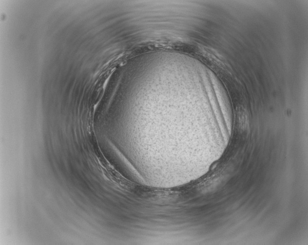 X0000059061060200510171934