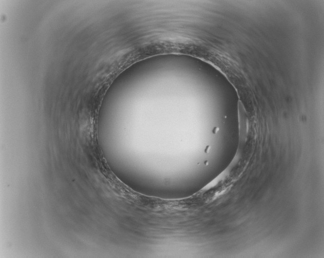 X0000059061061200510171934