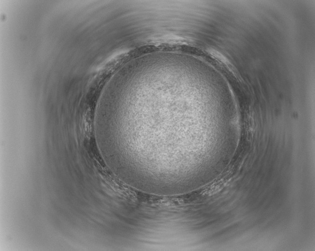 X0000059061063200510171934