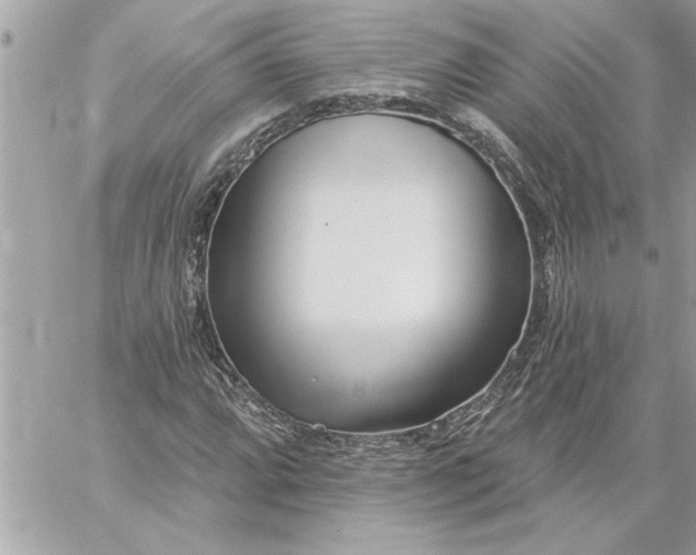 X0000059061064200510171934