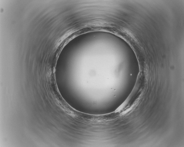 X0000059061065200510171934