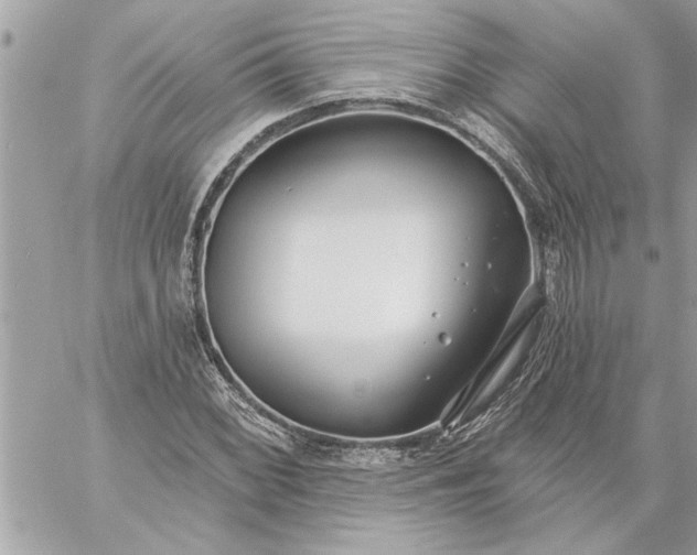 X0000059061068200510171934