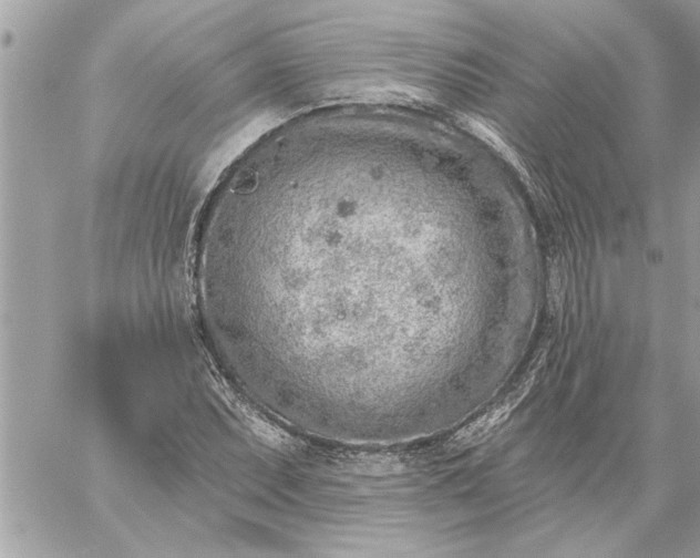 X0000059061071200510171934