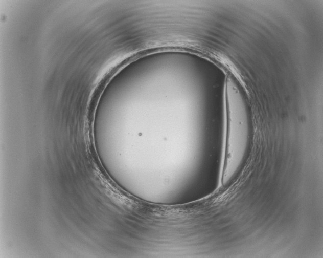 X0000059061072200510171933