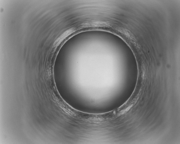 X0000059061073200510171933