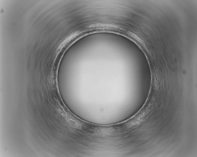 X0000059061074200510171933