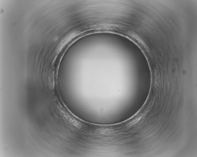 X0000059061075200510171933