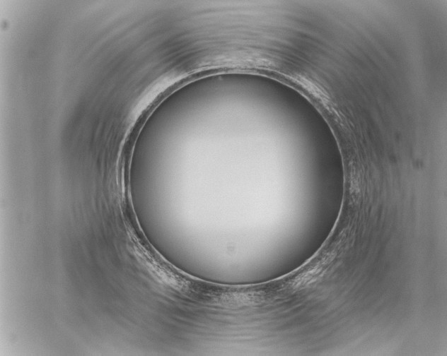 X0000059061078200510171933