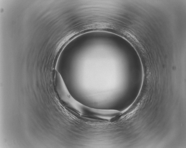 X0000059061081200510171933