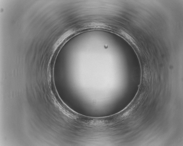 X0000059061082200510171933