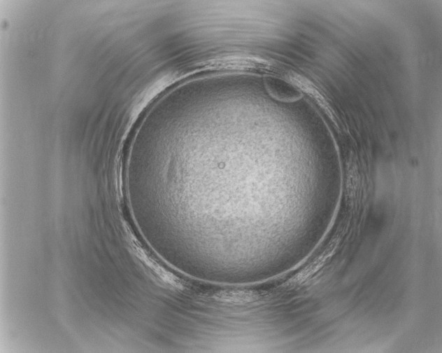 X0000059061083200510171933