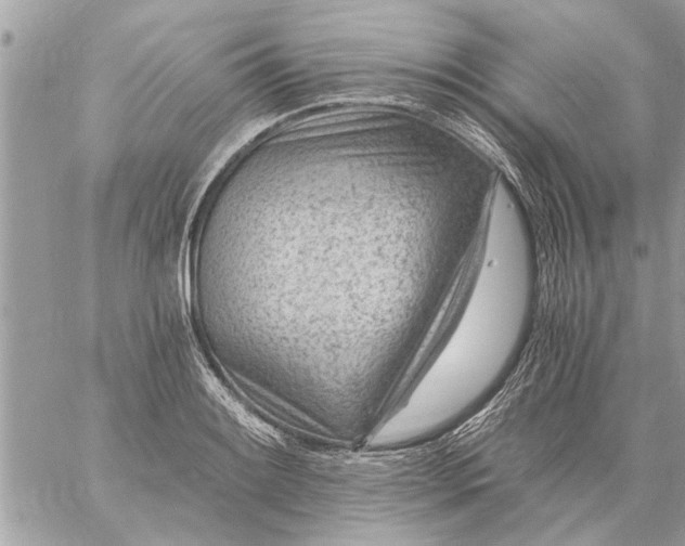 X0000059061084200510171933