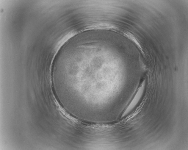 X0000059061087200510171933