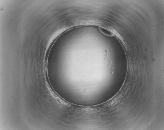 X0000059061088200510171933