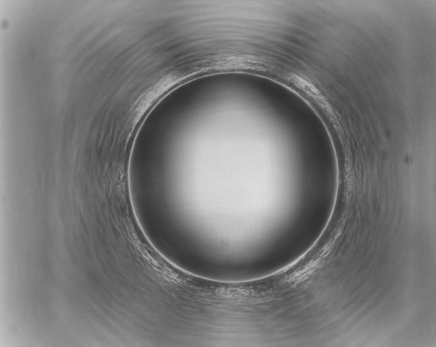 X0000059061089200510171933