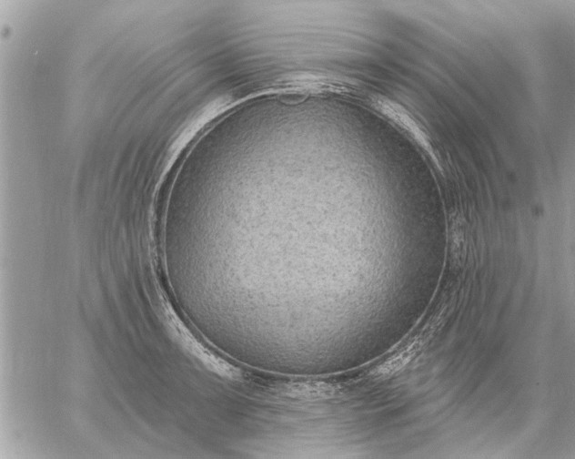 X0000059061091200510171933