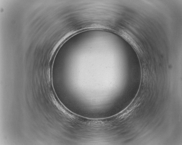 X0000059061092200510171933