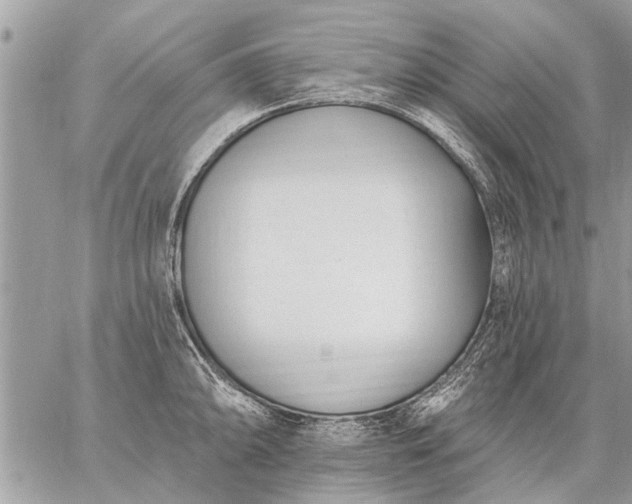 X0000059061094200510171933