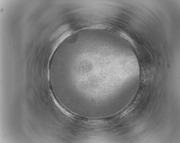 X0000059061095200510171933