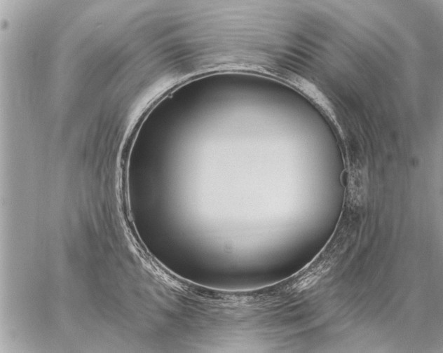 X0000059061096200510171933