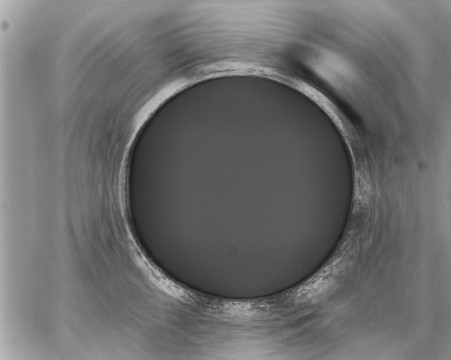 X0000059061098200510171933