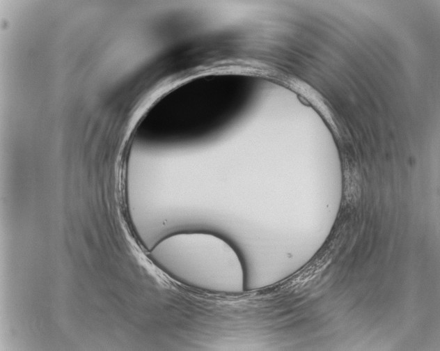 X0000059061099200510171933