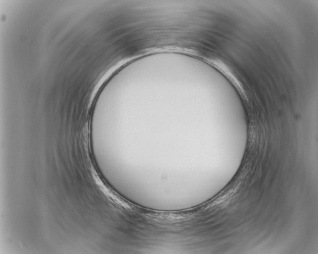 X0000059061100200510171933