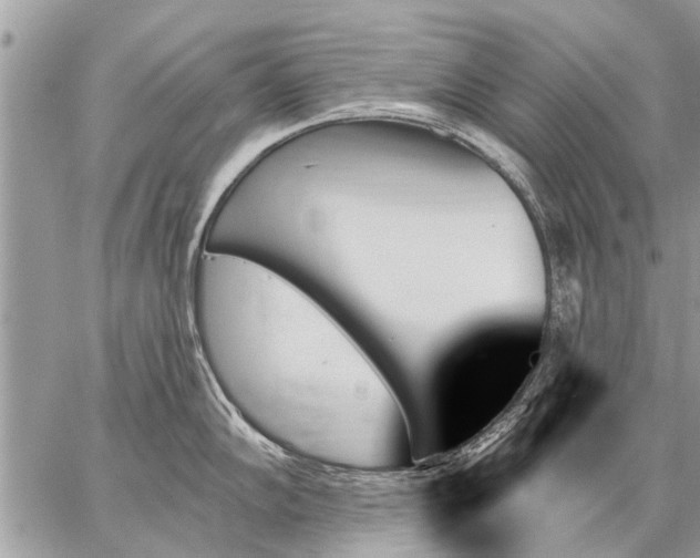 X0000059061102200510171933