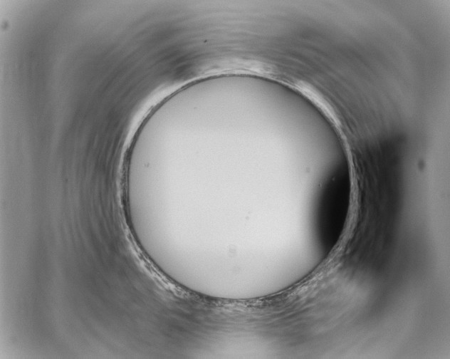 X0000059061104200510171933