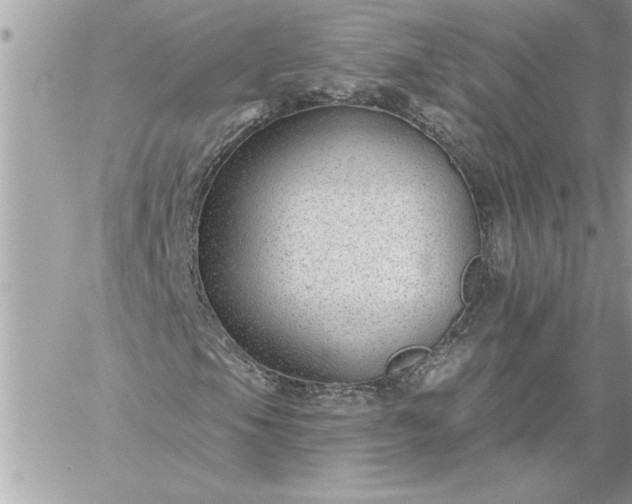 X0000059061105200510171932