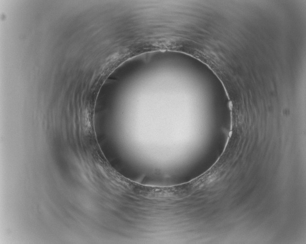 X0000059061106200510171932