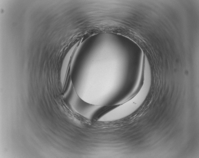 X0000059061108200510171932