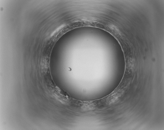 X0000059061110200510171932