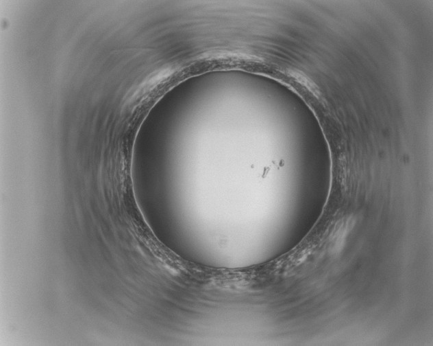 X0000059061111200510171932