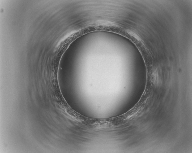 X0000059061112200510171932