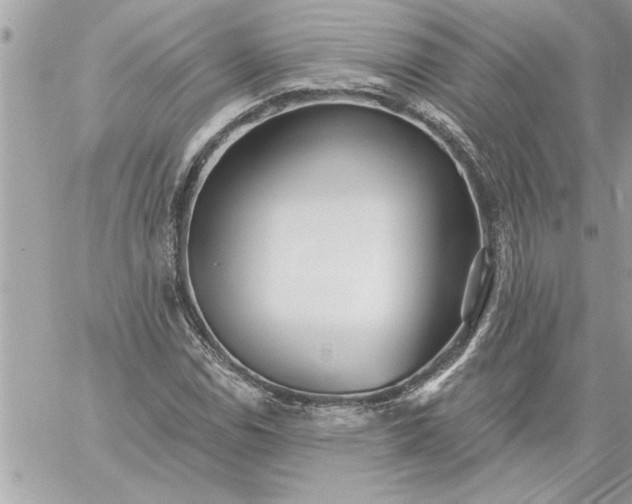 X0000059061114200510171932