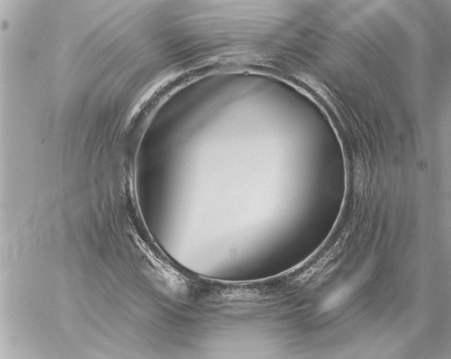 X0000059061115200510171932